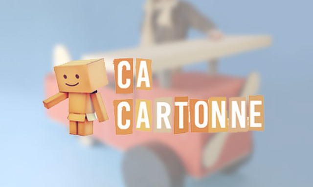 Ca_Cartonne_Team_Building_Construction_Carton